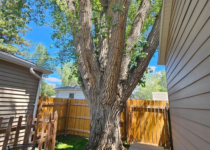 The Cottonwood Den *